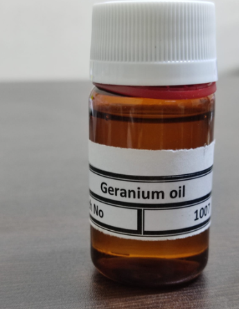 Geranium Oil